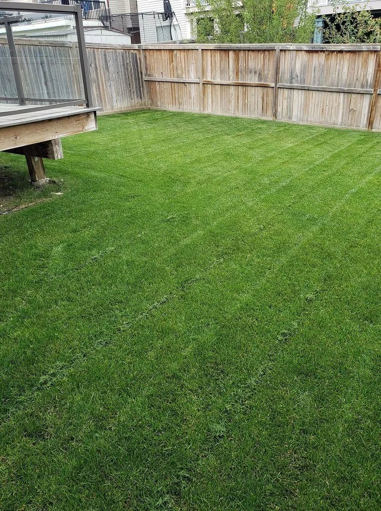 Affordable residential landscaping in Baltimore, MD - Wiltondale Lawn Care