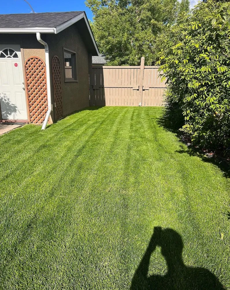 Reliable lawn care service in Baltimore, MD - Wiltondale Lawn Care