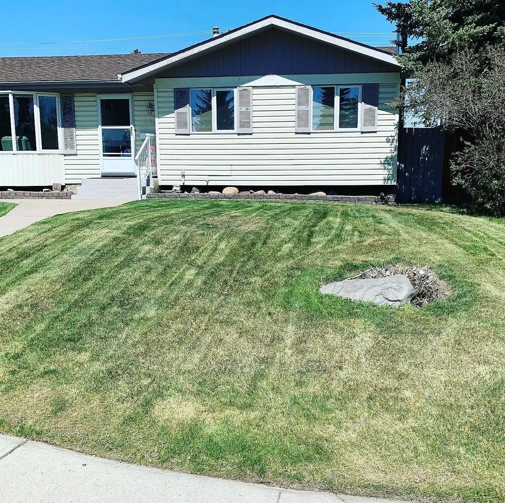 Top-rated lawn care service in Baltimore, MD - Wiltondale Lawn Care