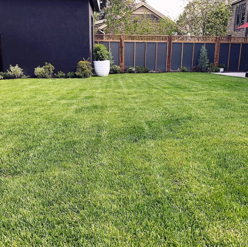 Professional landscape design for beautiful yards across Baltimore, MD - Wiltondale Lawn Care