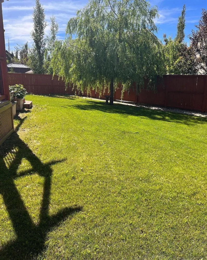 Expert yard cleanup service for outdoor upgrades across Baltimore, MD - Wiltondale Lawn Care