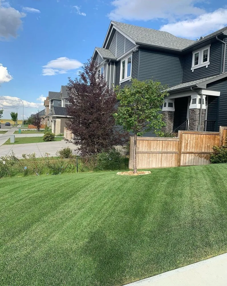 Local lawn mowing service near you in Baltimore, MD by Wiltondale Lawn Care