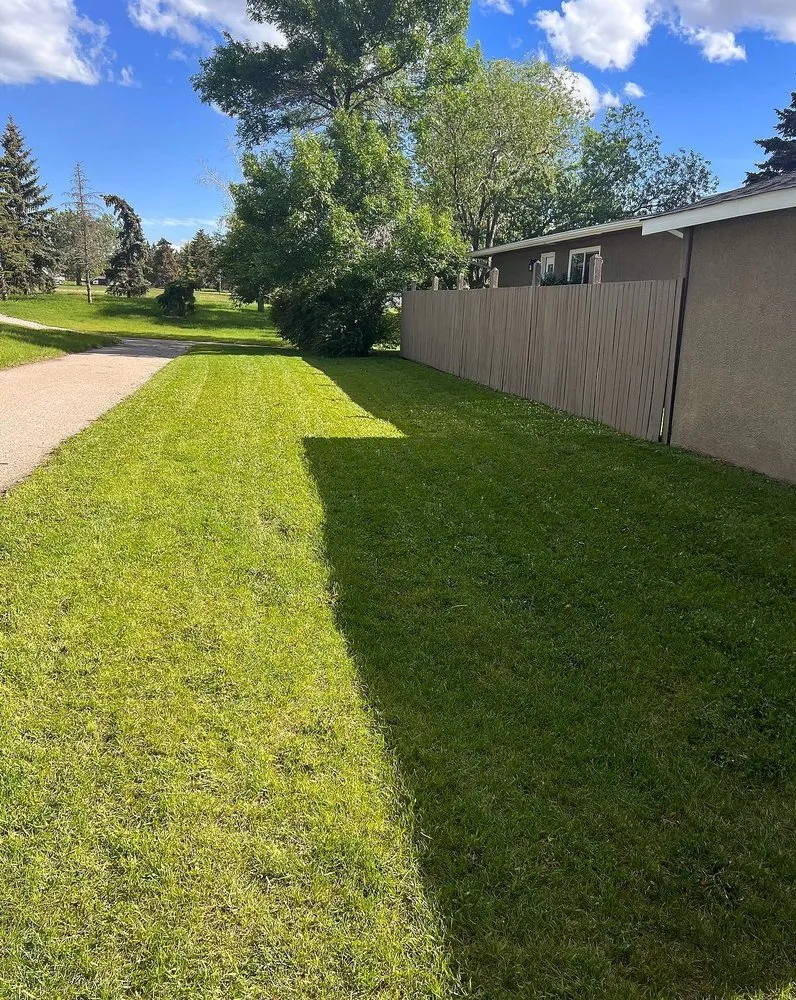 Affordable lawn care service for residential properties across Baltimore, MD - Wiltondale Lawn Care