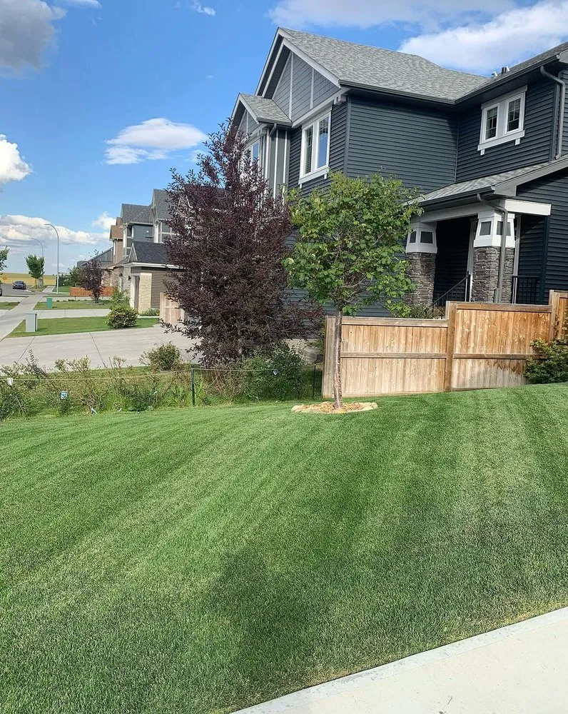 Expert residential landscaping experts serving Baltimore, MD - Wiltondale Lawn Care