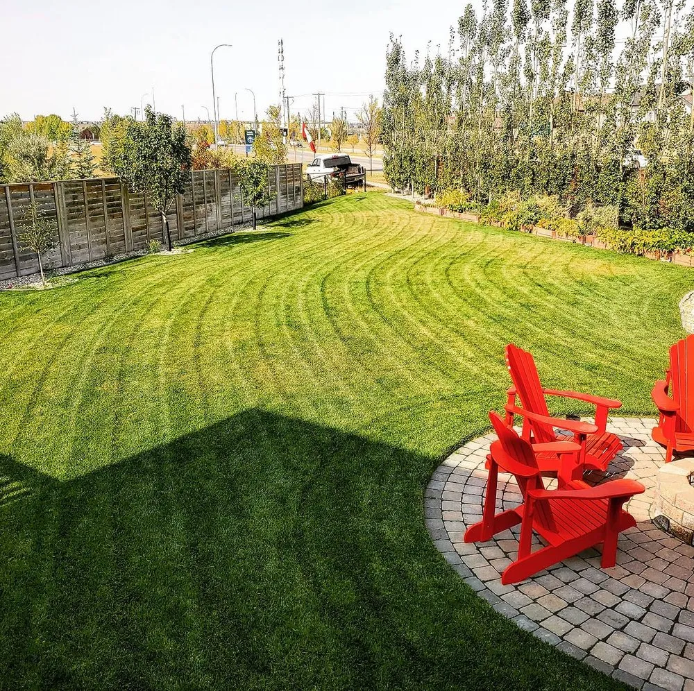 Top-rated lawn care service for beautiful yards across Baltimore, MD - Wiltondale Lawn Care