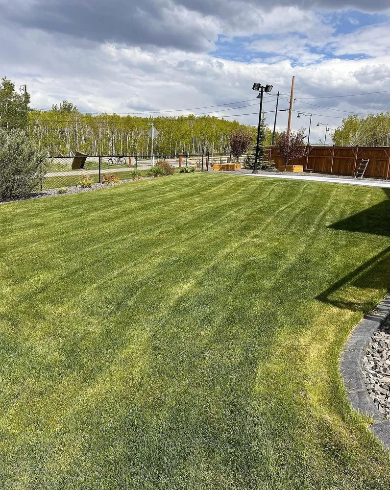 Expert yard maintenance in Baltimore, MD by Wiltondale Lawn Care