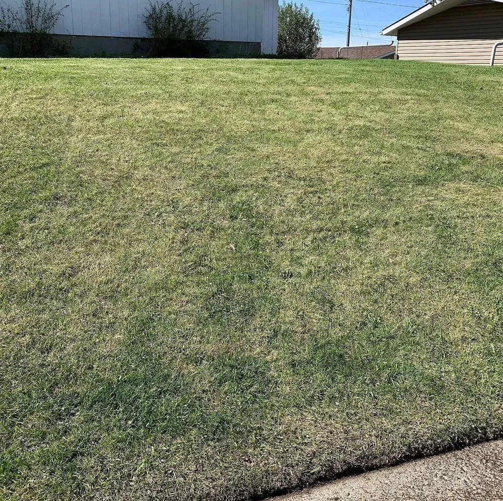 Professional garden landscaping for beautiful yards across Baltimore, MD - Wiltondale Lawn Care