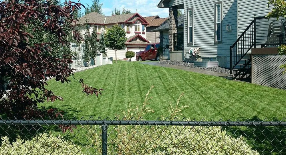 Professional lawn care service in Baltimore, MD - Wiltondale Lawn Care