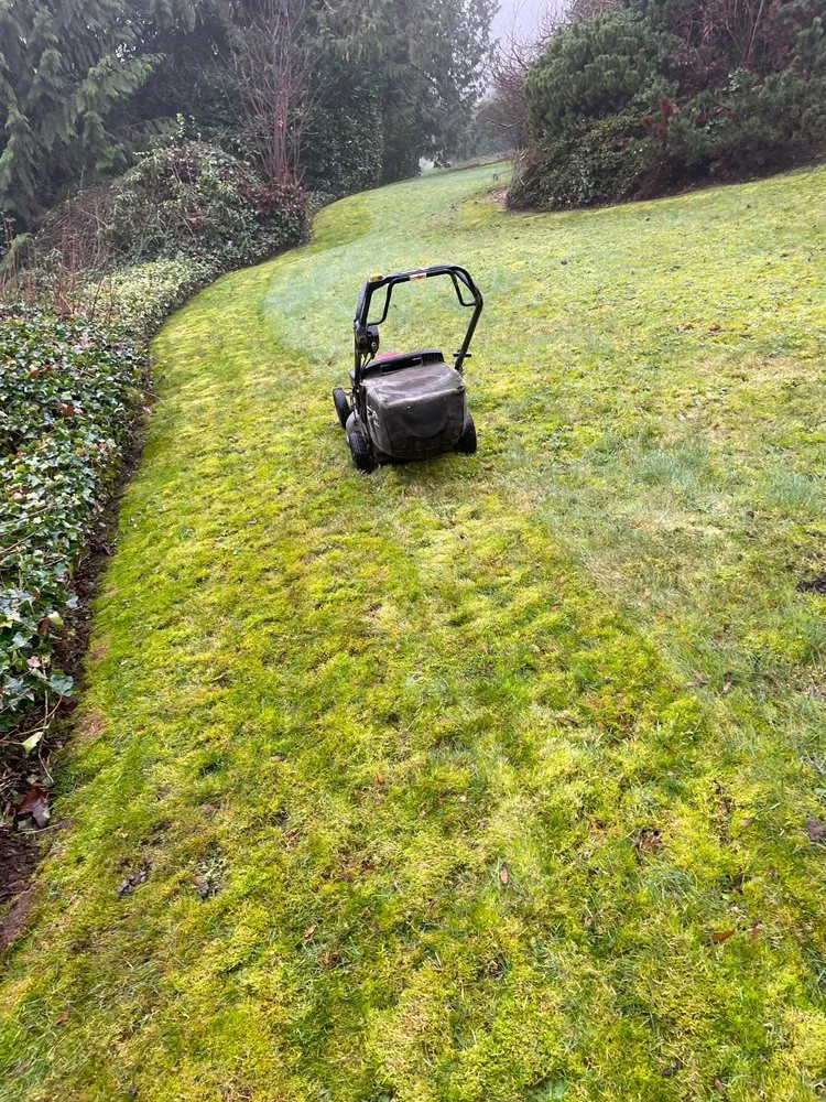 Professional yard maintenance for residential properties across Lynnwood, WA - Wily Landscaping