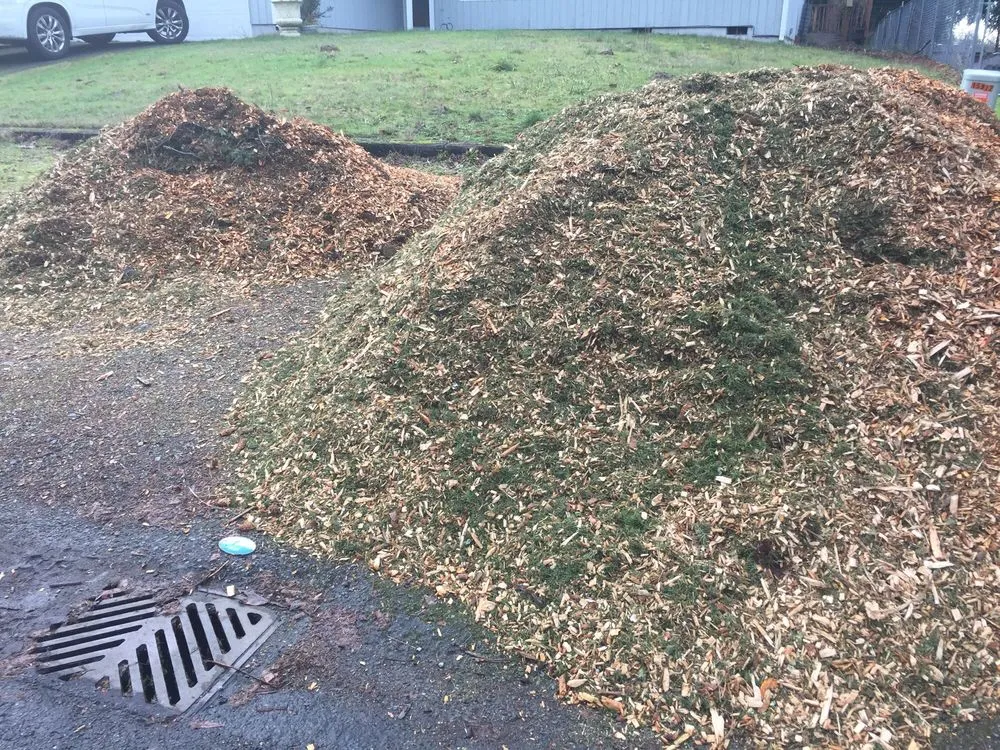 Expert lawn mowing service experts serving Spanaway, WA - Wimbles Logging and Tree Service