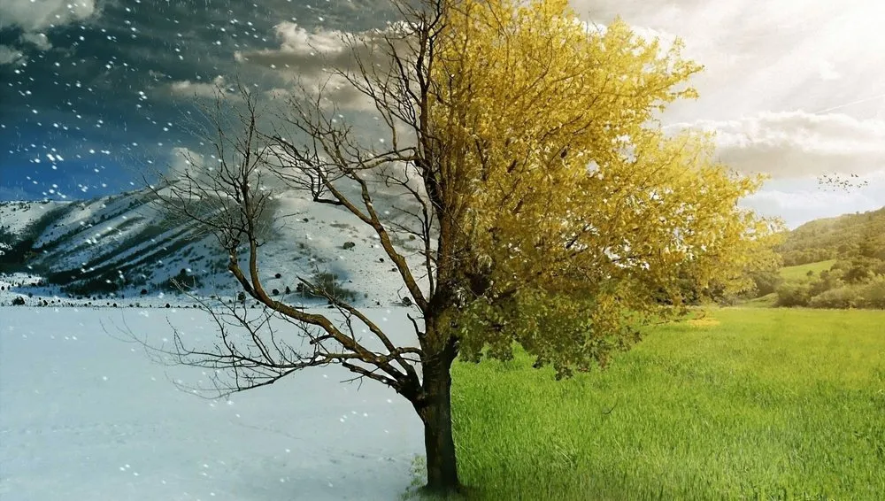 Affordable landscaping services in Glenwood Springs, CO by Win-Sum All Season's Property Maintenance