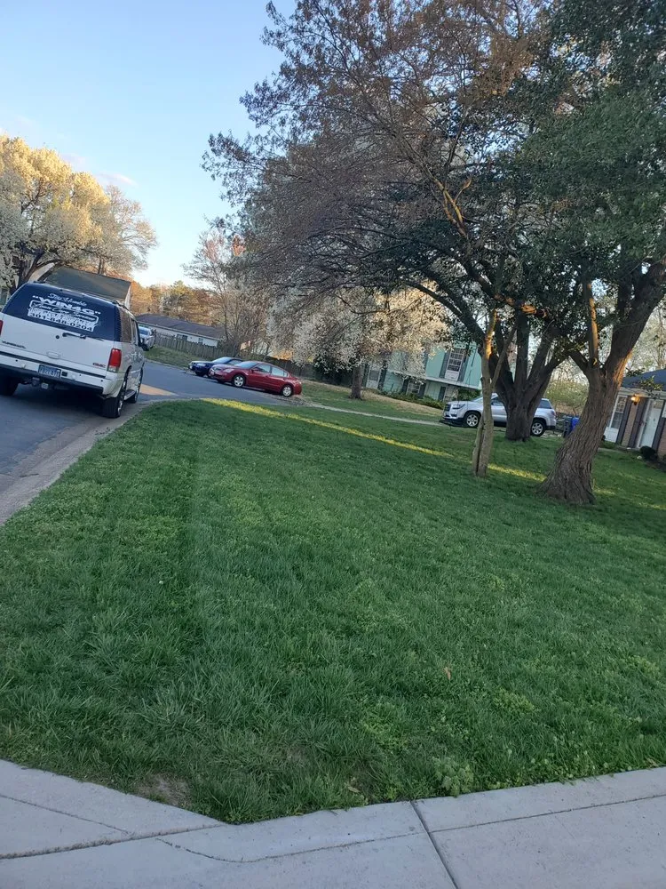 Top-rated yard cleanup service for residential properties across Saint Charles, MD - WIN4G Lawn Care Services