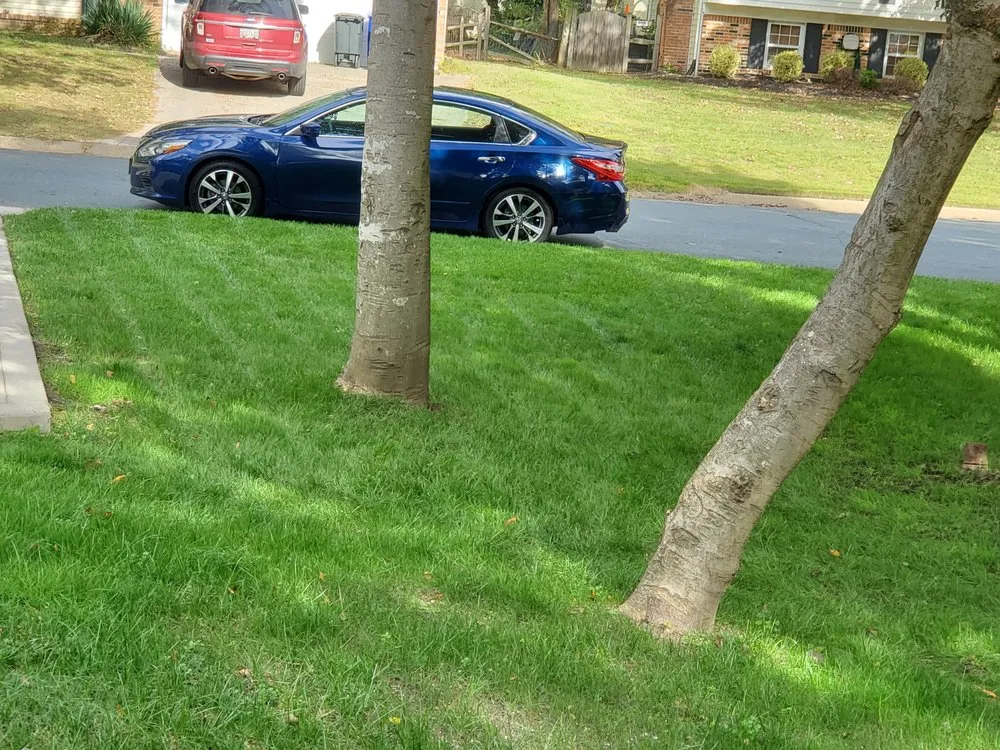 Expert landscape installation in Saint Charles, MD - WIN4G Lawn Care Services