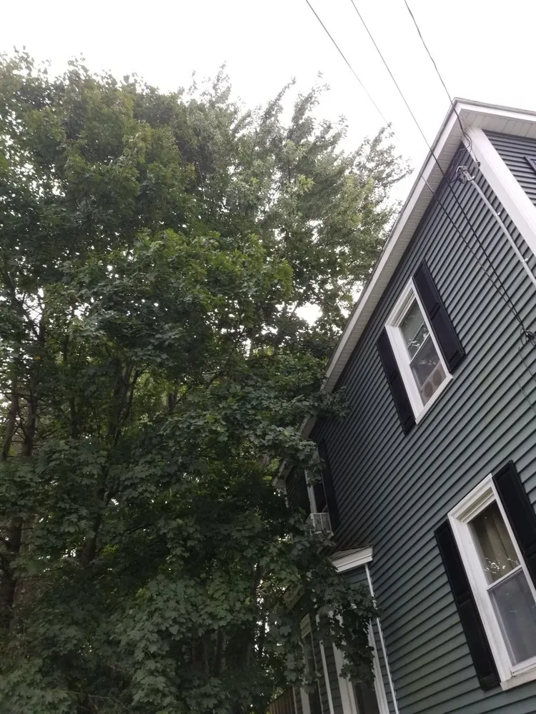 Reliable yard maintenance for residential properties in Harvard, MA by Winchendon Wood