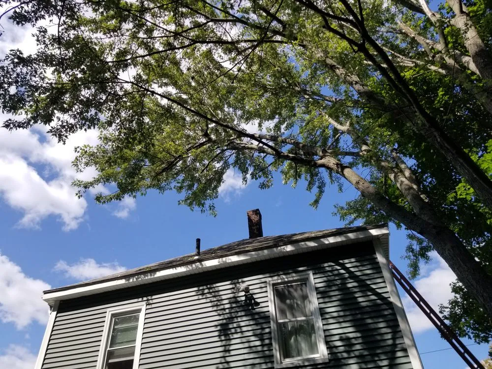 Affordable residential landscaping for residential properties across Harvard, MA - Winchendon Wood