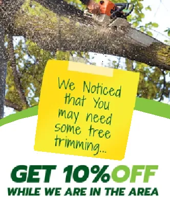 Professional landscape design for homes across Harvard, MA - Winchendon Wood