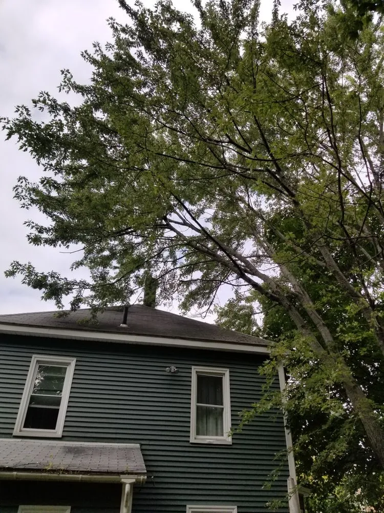 Custom lawn mowing service for outdoor upgrades across Harvard, MA - Winchendon Wood