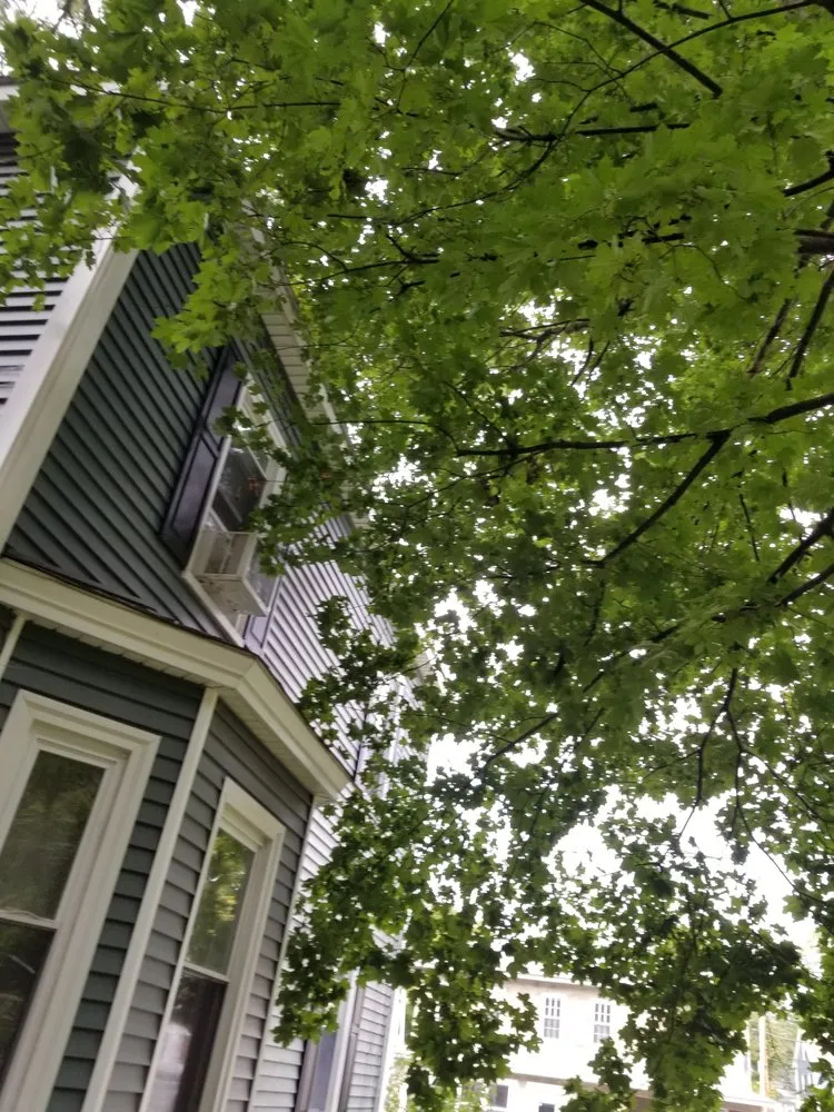 Top-rated landscape installation with custom design in Harvard, MA by Winchendon Wood