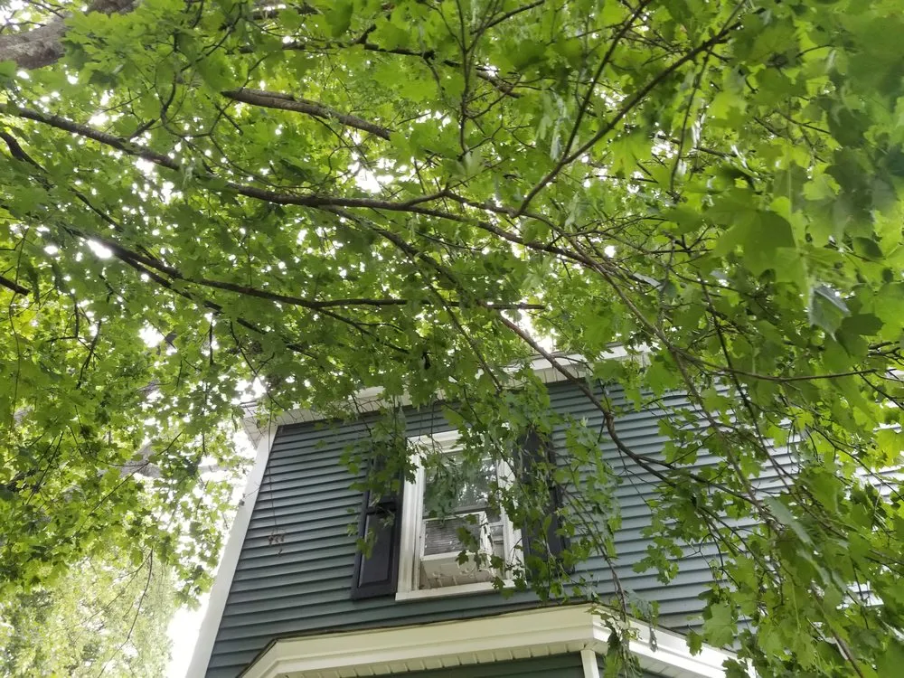 Expert lawn mowing service in Harvard, MA by Winchendon Wood