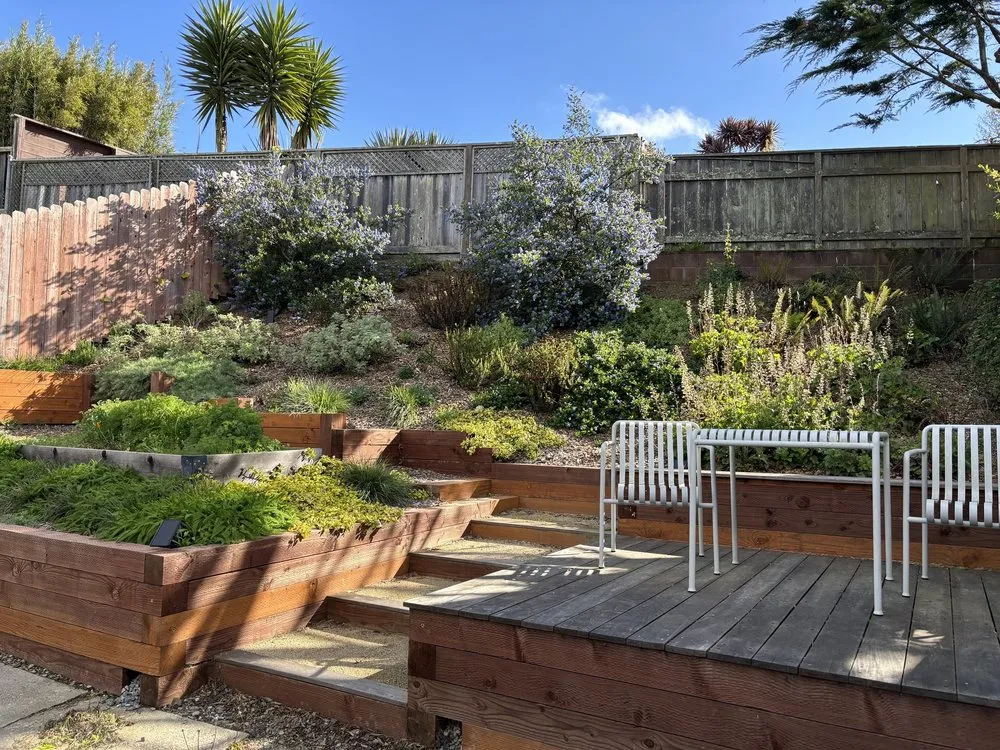 Top-rated landscape installation experts serving San Francisco, CA - Wind & Fog Native Landscapes