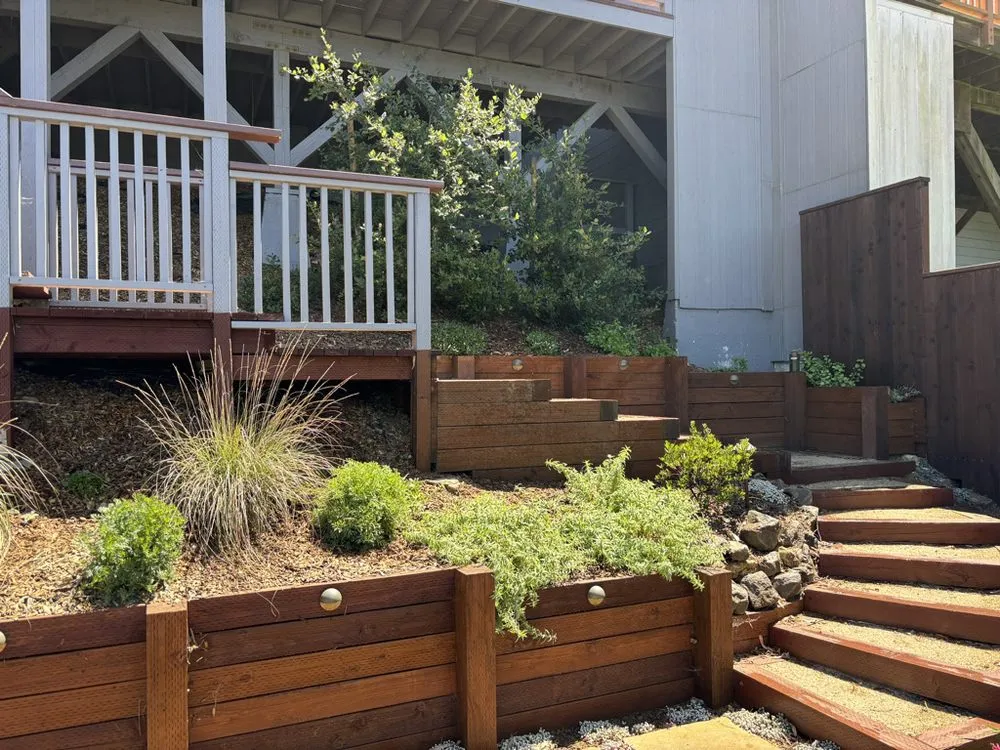Affordable landscape design in San Francisco, CA by Wind & Fog Native Landscapes
