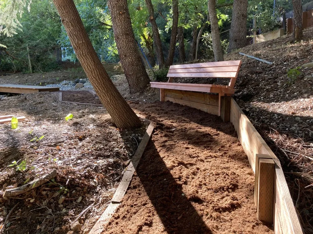 Local yard maintenance in San Francisco, CA by Wind & Fog Native Landscapes