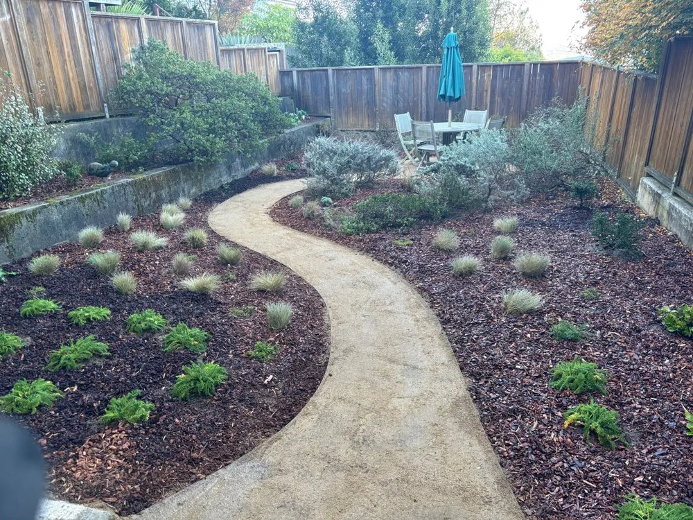 Professional yard cleanup service near you in San Francisco, CA by Wind & Fog Native Landscapes