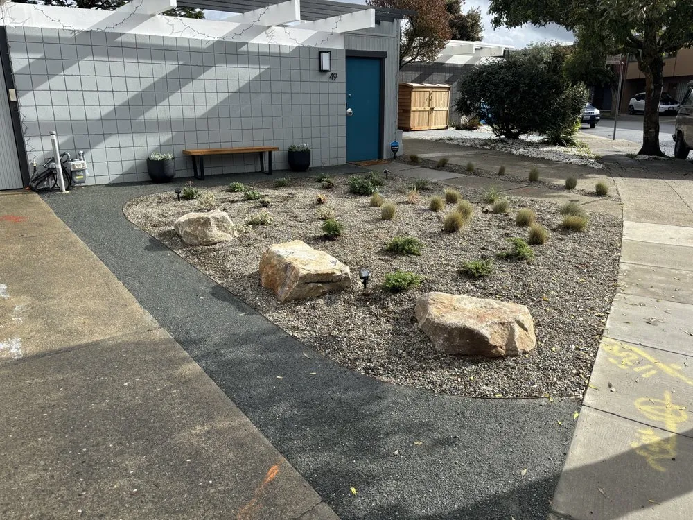 Expert garden landscaping in San Francisco, CA - Wind & Fog Native Landscapes