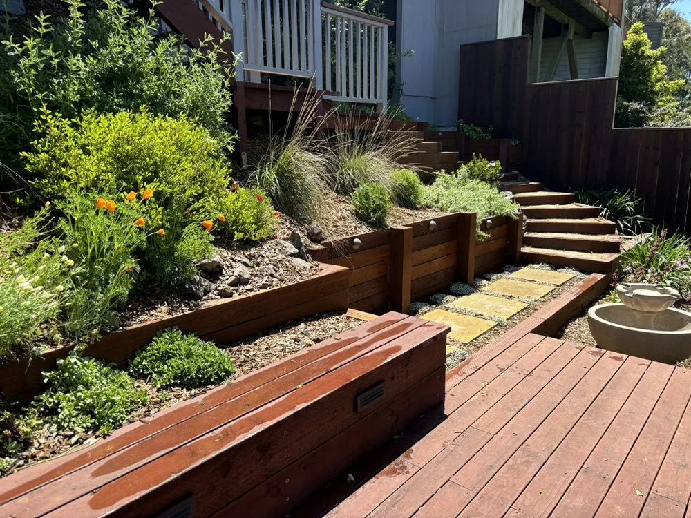 Reliable yard cleanup service for homes across San Francisco, CA - Wind & Fog Native Landscapes