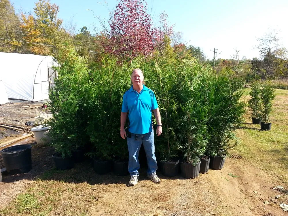 Custom landscaping services for beautiful yards in Farmington, NC by Wind Chime Nursery