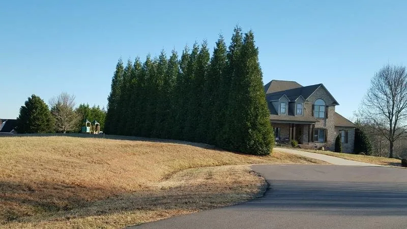Affordable lawn mowing service for outdoor upgrades across Farmington, NC - Wind Chime Nursery
