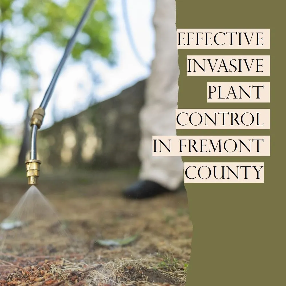 Affordable landscaping services in Lander, WY - Wind River Weed