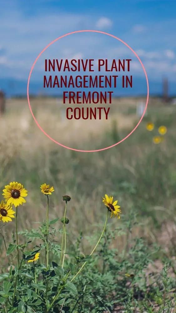 Top-rated yard cleanup service experts serving Lander, WY - Wind River Weed