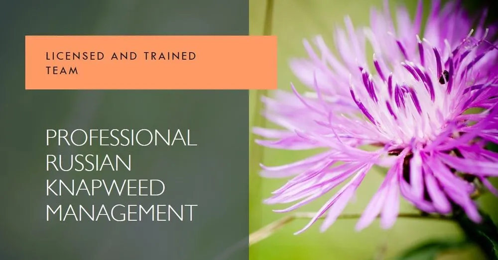 Top-rated outdoor landscaping experts serving Lander, WY - Wind River Weed