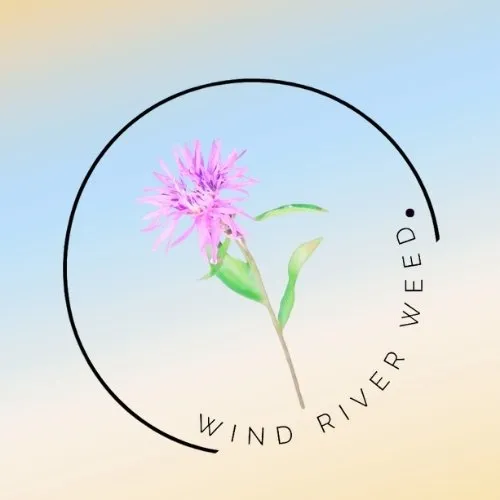 Expert lawn mowing service for outdoor upgrades in Lander, WY by Wind River Weed