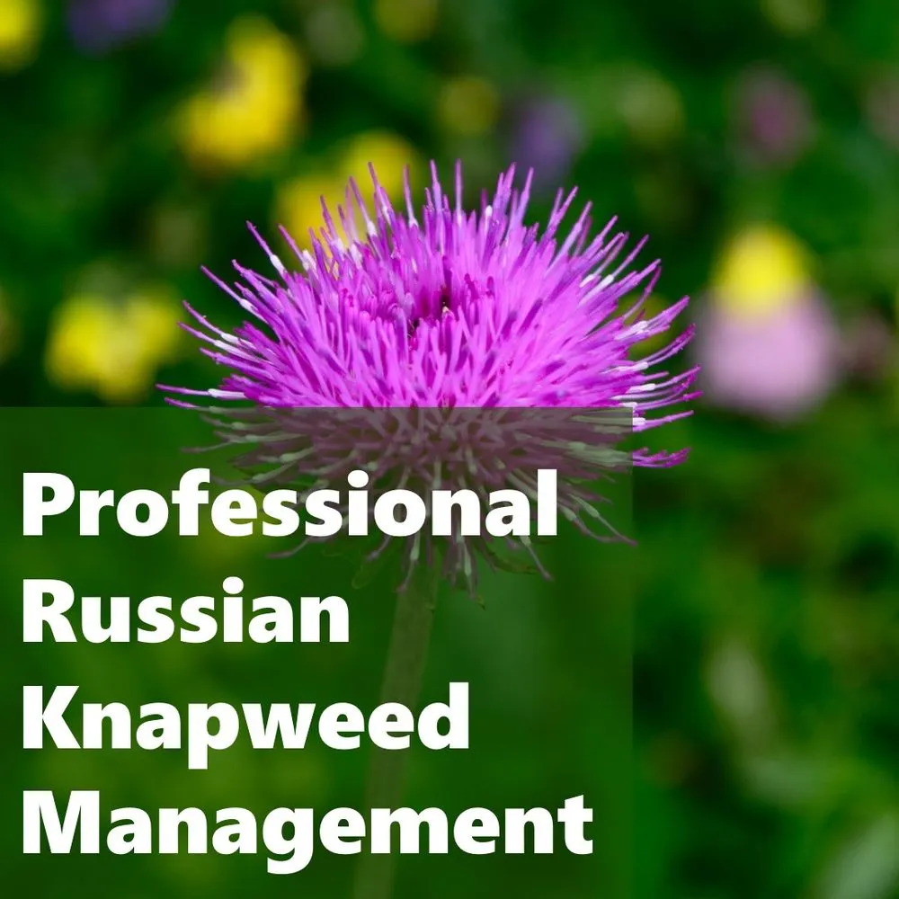 Local residential landscaping in Lander, WY by Wind River Weed