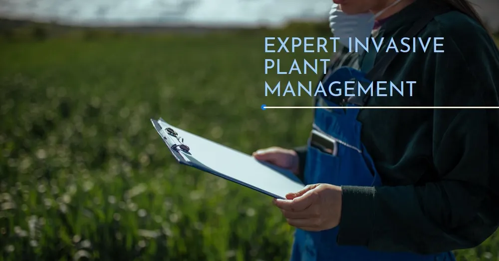 Trusted yard maintenance in Lander, WY by Wind River Weed