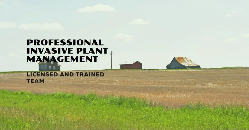 Custom outdoor landscaping in Lander, WY by Wind River Weed