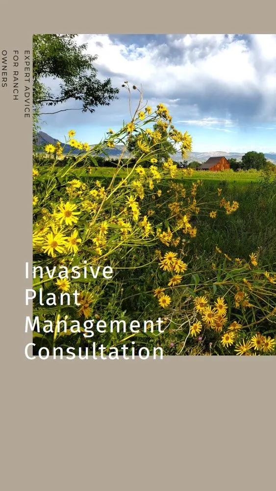 Expert lawn mowing service in Lander, WY by Wind River Weed