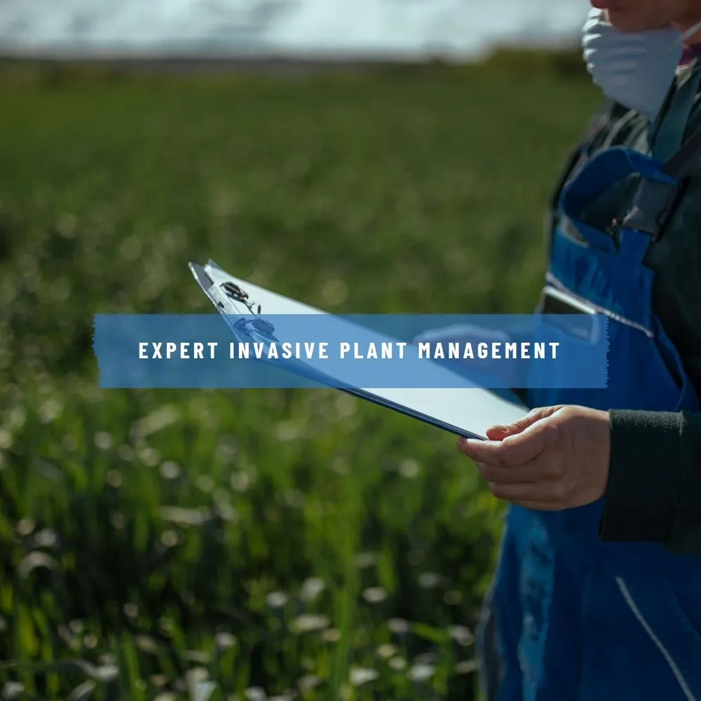 Reliable landscape design for residential properties across Lander, WY - Wind River Weed