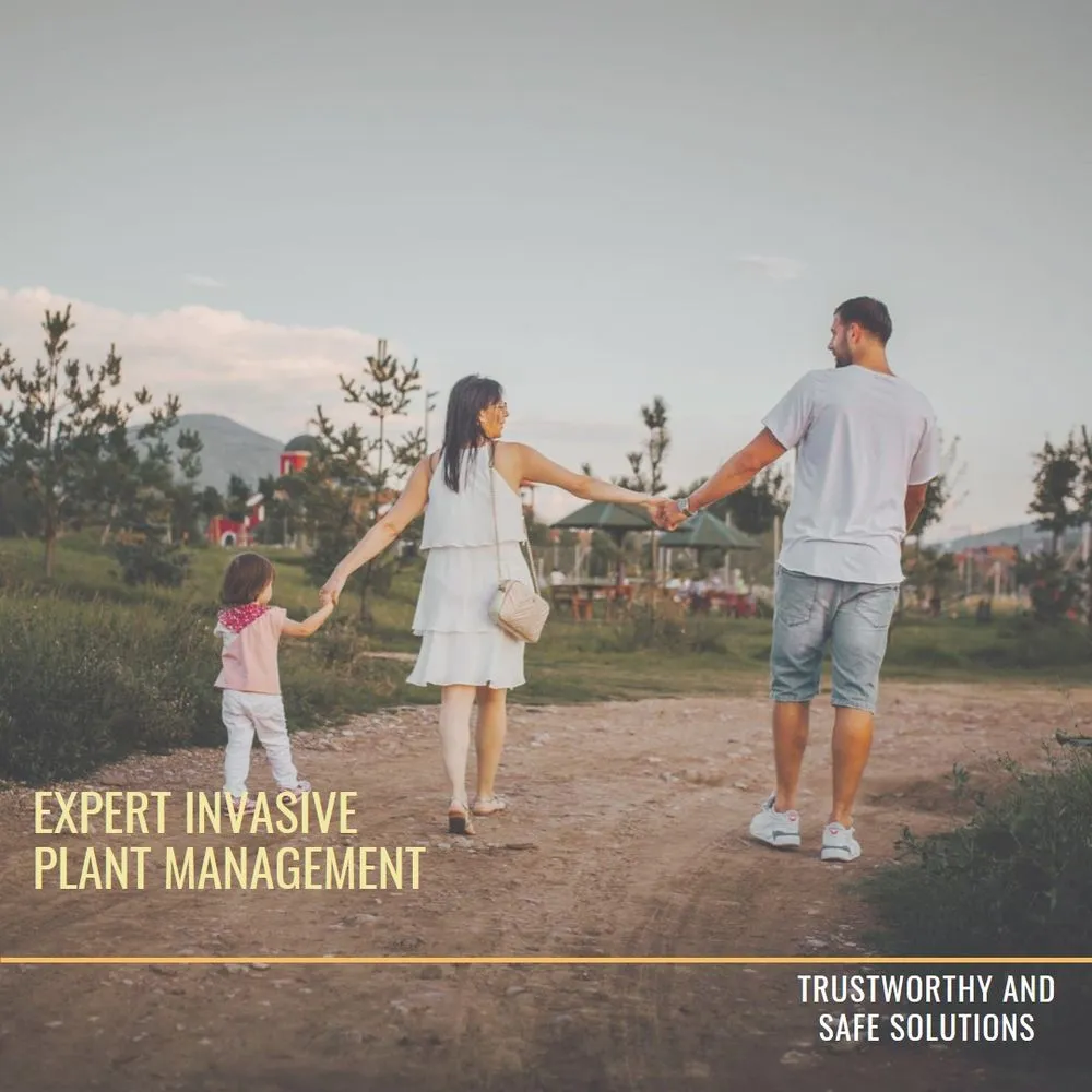 Affordable landscaping services experts serving Lander, WY - Wind River Weed