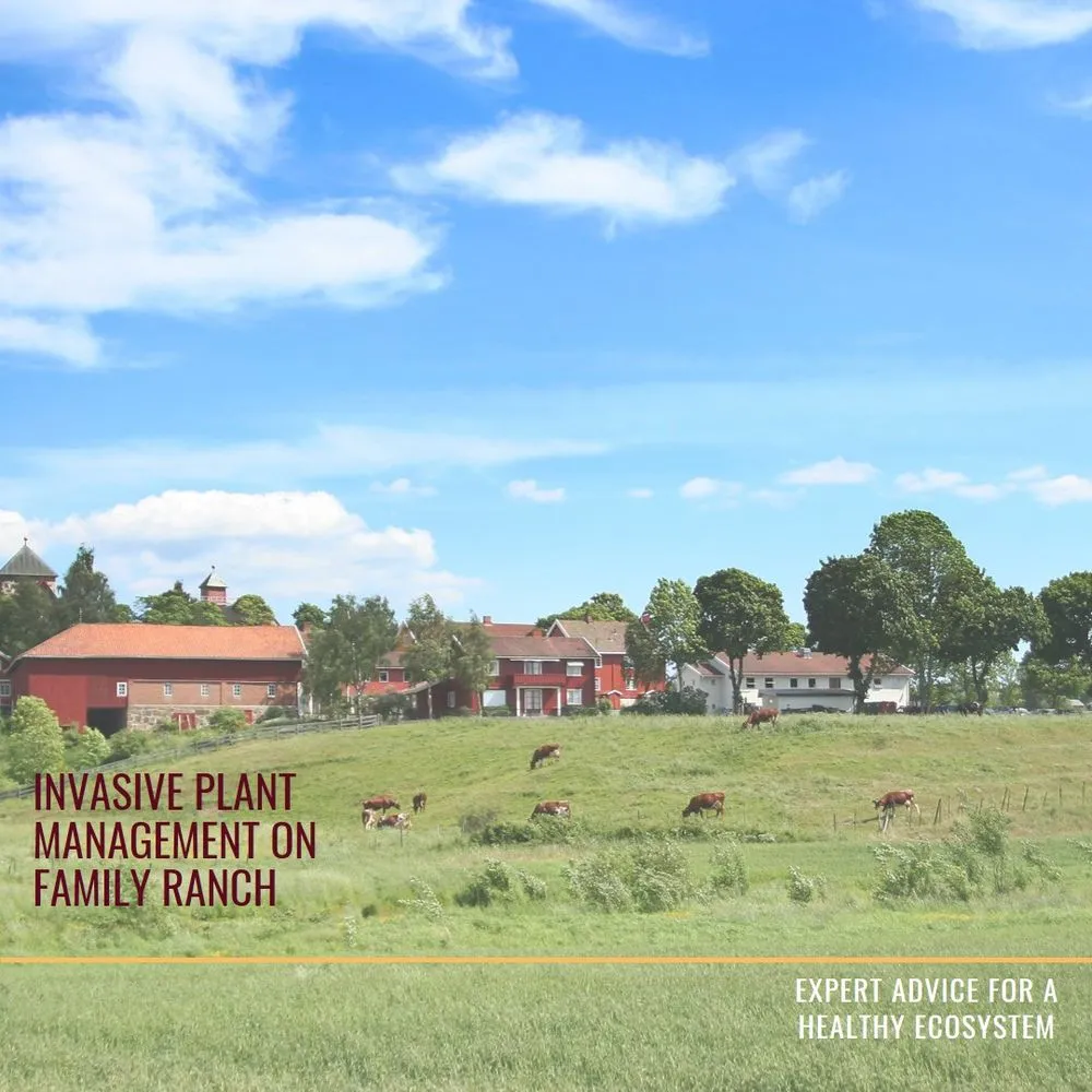 Custom landscape installation experts serving Lander, WY - Wind River Weed