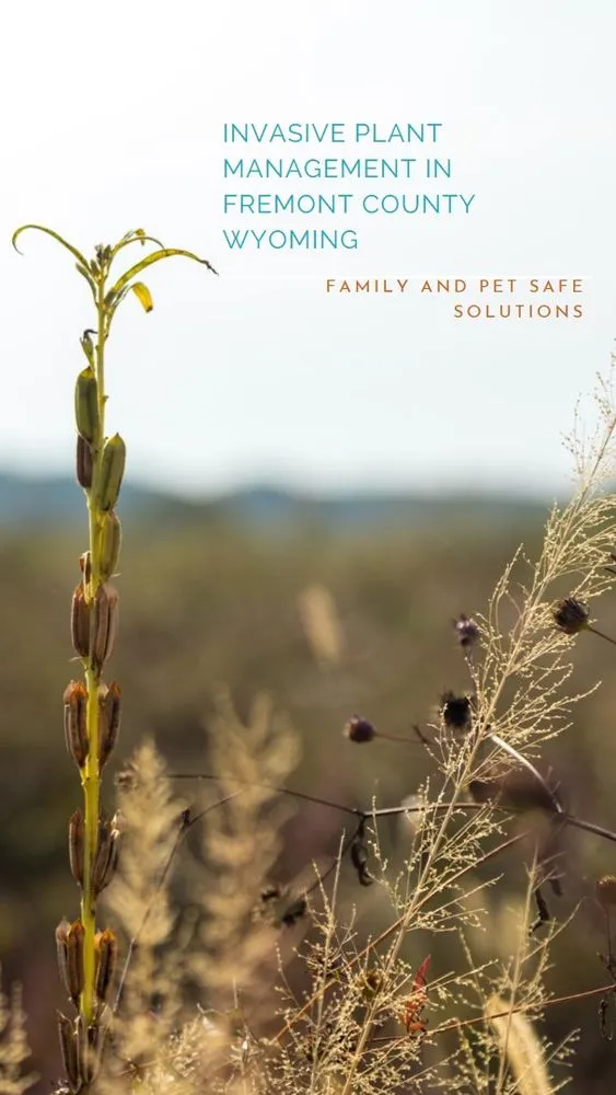 Professional landscaping services experts serving Lander, WY - Wind River Weed