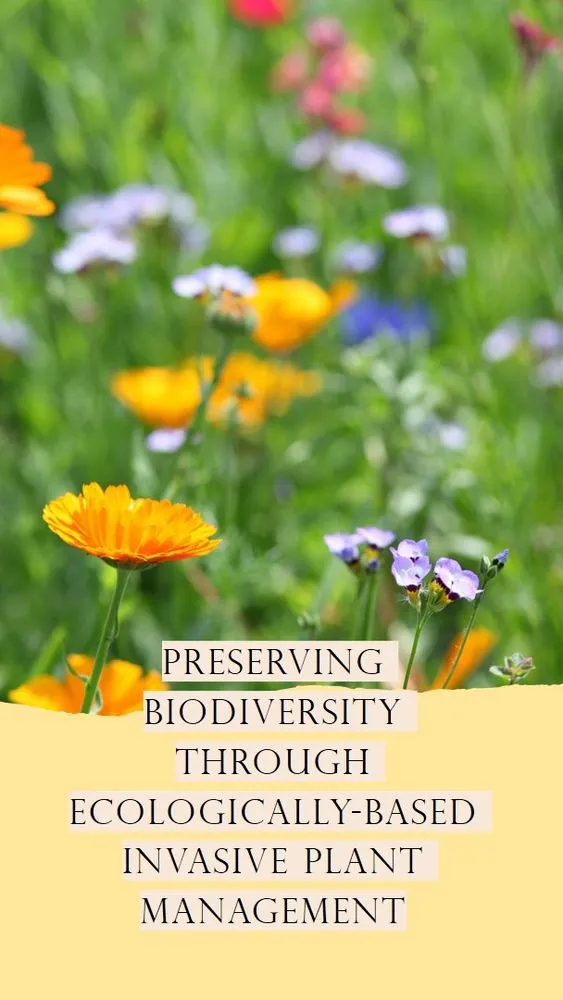 Custom lawn mowing service near you across Lander, WY - Wind River Weed