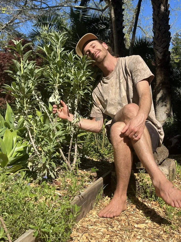 Affordable lawn mowing service in Santa Cruz, CA by Wind Song Regenerative