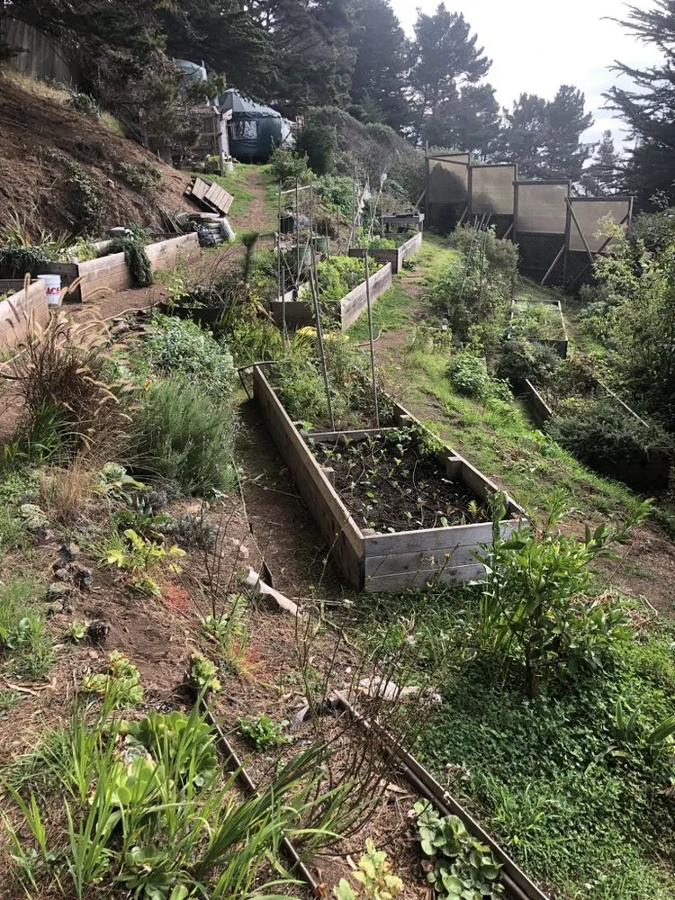 Professional landscaping services experts serving Santa Cruz, CA - Wind Song Regenerative