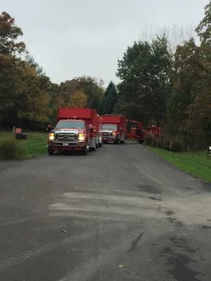Wind Storm Tree Service Logo