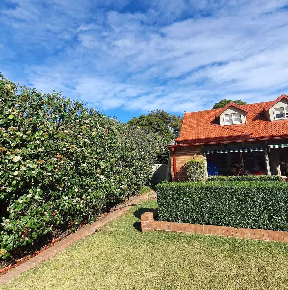 Professional residential landscaping near you across San Antonio, TX - Windcrest Lawn Services