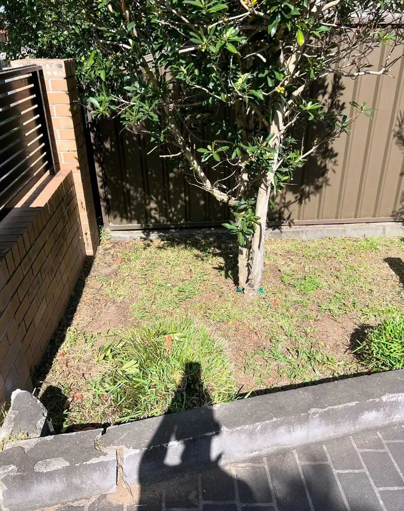 Reliable outdoor landscaping in San Antonio, TX by Windcrest Lawn Services