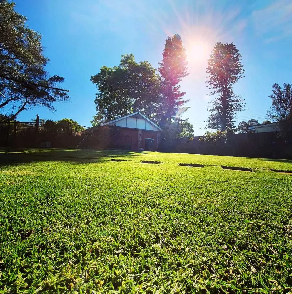 Local landscape installation for outdoor upgrades across San Antonio, TX - Windcrest Lawn Services